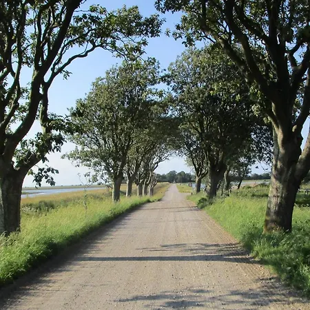 6 Person In Harboore-by Traum Holiday home Harboor