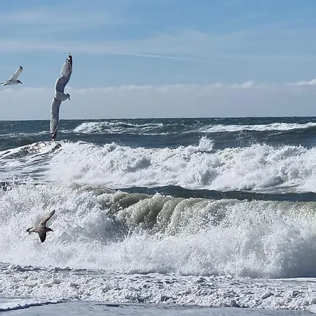 6 Person In Harboore-by Traum *